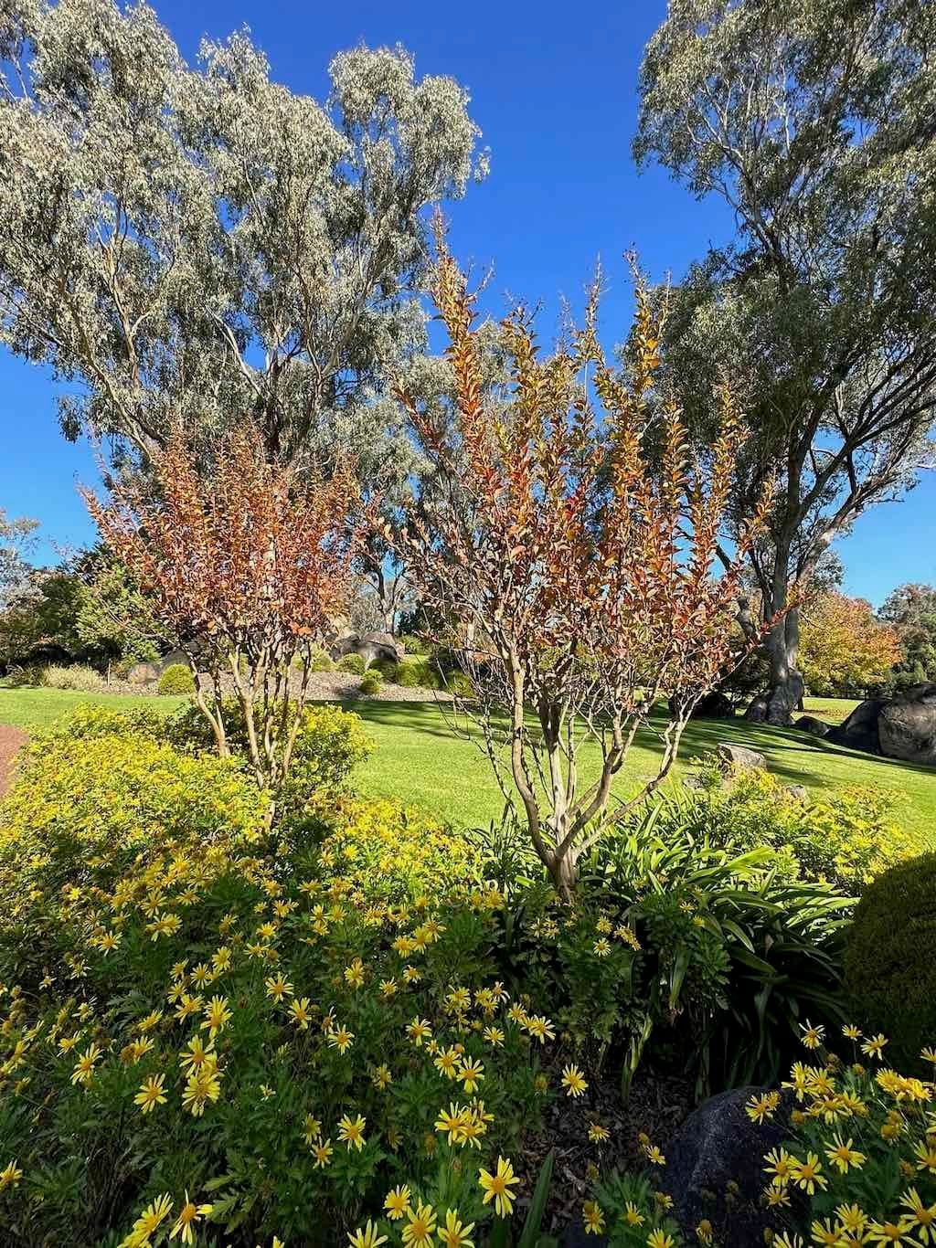 May 2023 Bathurst Mayfield Garden Tour Image -64605b70bd9aa